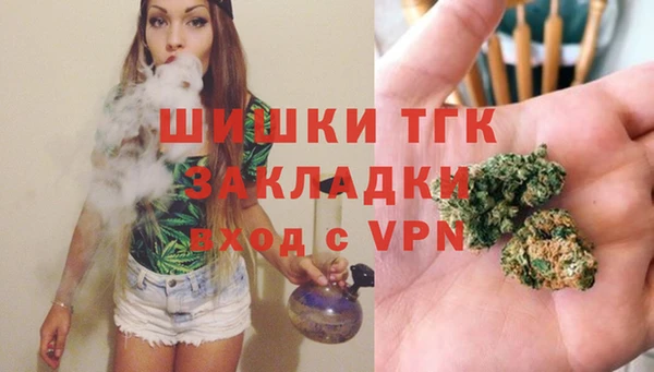 спайс Арсеньев